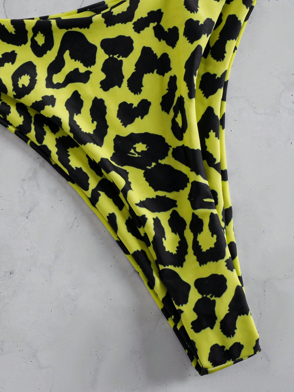 Leopard Print Backless Halter Sexy 2 Pieces Swimwear For Women