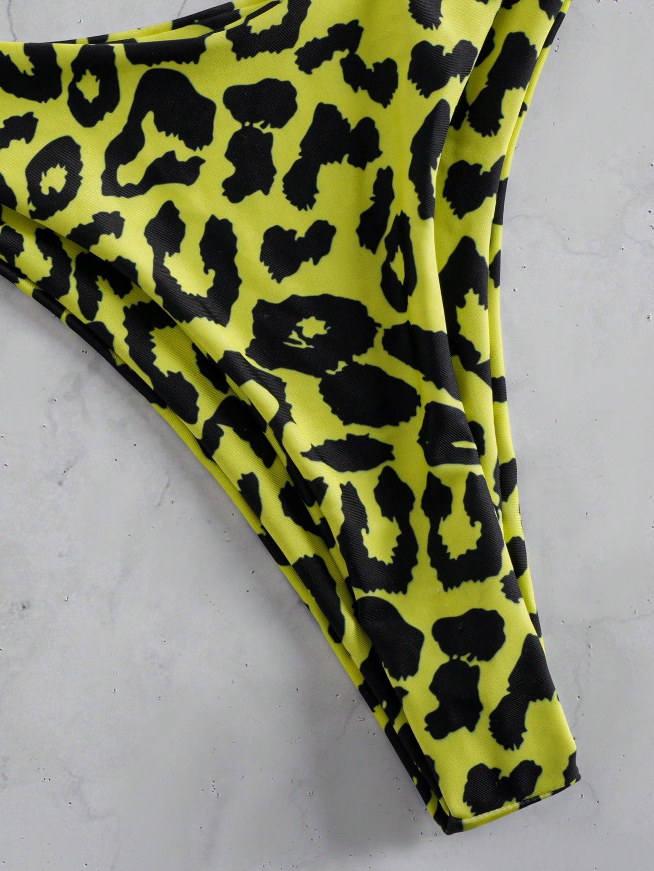 Leopard Print Backless Halter Sexy 2 Pieces Swimwear For Women