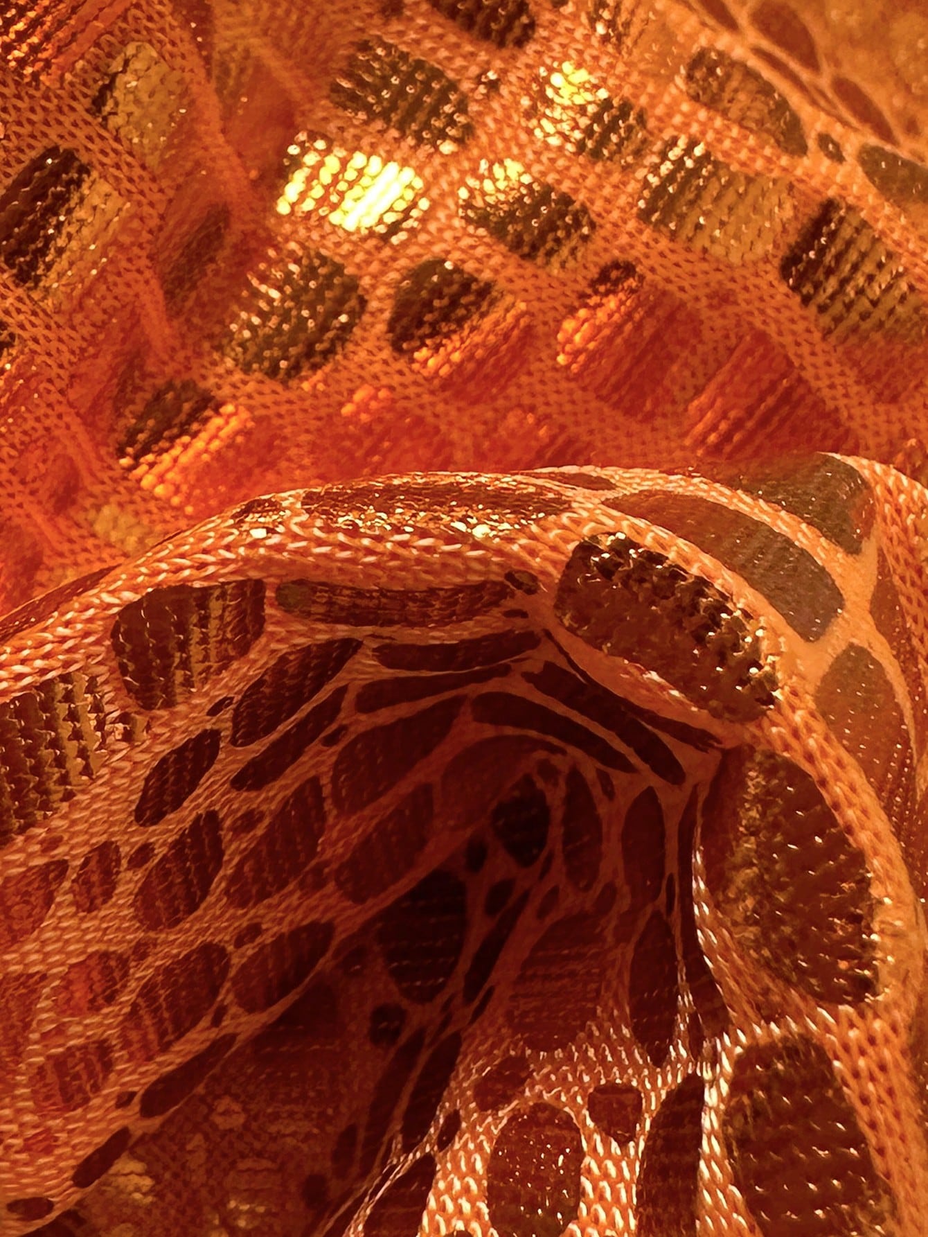 Swim Mod Ladies Halter Neck Summer Beach Swimwear Set, Fashionable
